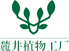 麓井环境科技