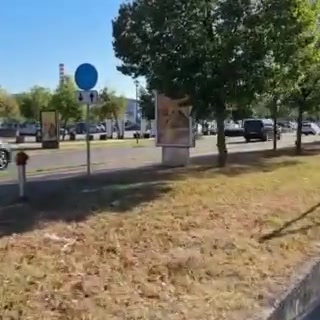 又换新项目了!东契奇带领队友们前往郊区进行保龄球对决 又换新项目了!东契奇带领队友们前往郊区进行保龄球对决